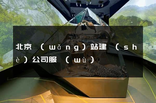 北京網(wǎng)站建設(shè)公司服務(wù)