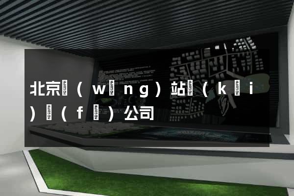 北京網(wǎng)站開(kāi)發(fā)公司