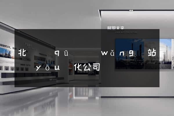 北侖區(qū)網(wǎng)站優(yōu)化公司