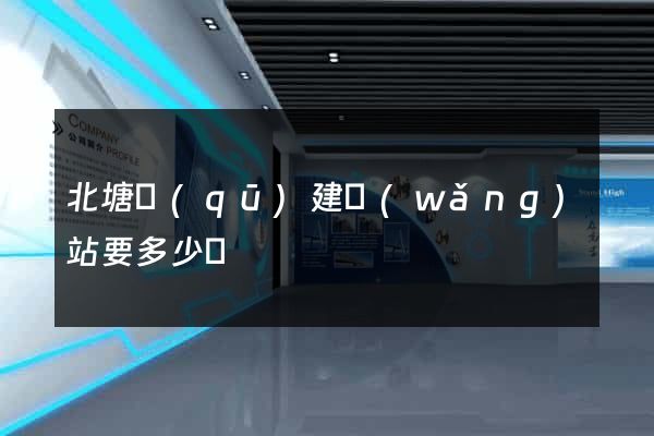 北塘區(qū)建網(wǎng)站要多少錢