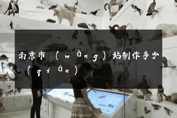 南京市網(wǎng)站制作多少錢(qián)