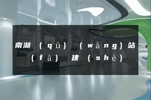 南湖區(qū)網(wǎng)站開發(fā)與建設(shè)