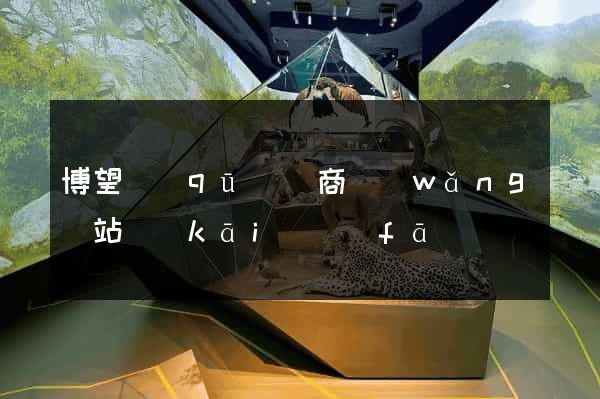 博望區(qū)電商網(wǎng)站開(kāi)發(fā)