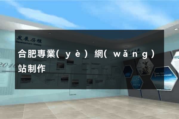 合肥專業(yè)網(wǎng)站制作