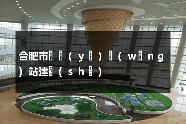 合肥市專業(yè)網(wǎng)站建設(shè)