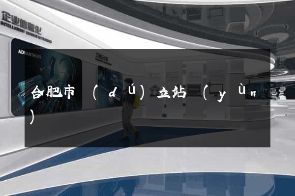 合肥市獨(dú)立站運(yùn)營
