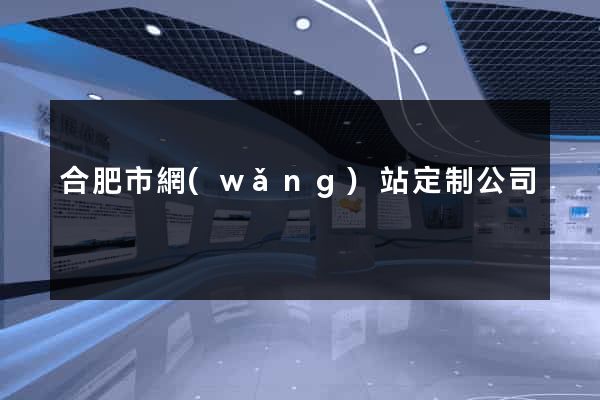 合肥市網(wǎng)站定制公司