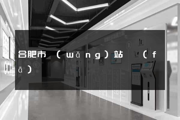 合肥市網(wǎng)站開發(fā)
