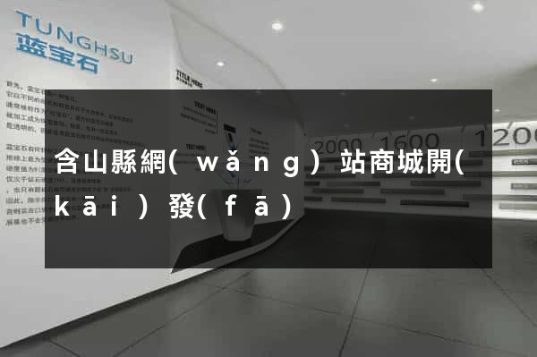 含山縣網(wǎng)站商城開(kāi)發(fā)