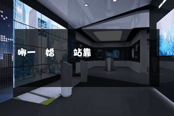 哪一個婚戀網站靠譜