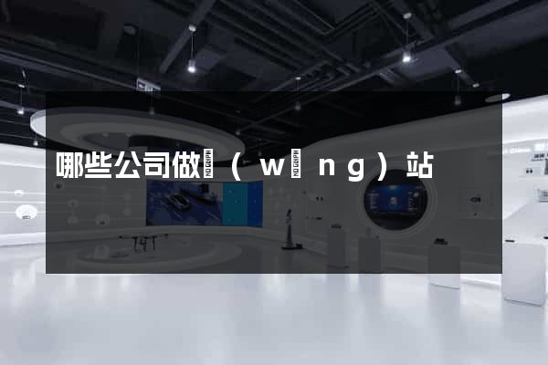 哪些公司做網(wǎng)站