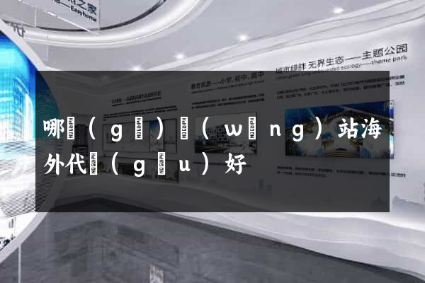 哪個(gè)網(wǎng)站海外代購(gòu)好
