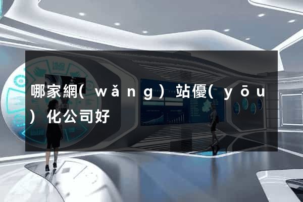 哪家網(wǎng)站優(yōu)化公司好