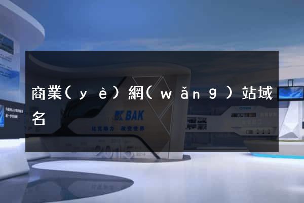 商業(yè)網(wǎng)站域名