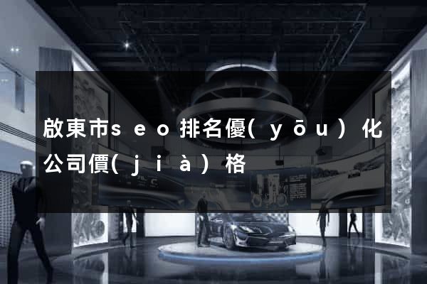 啟東市seo排名優(yōu)化公司價(jià)格