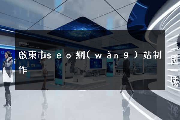 啟東市seo網(wǎng)站制作