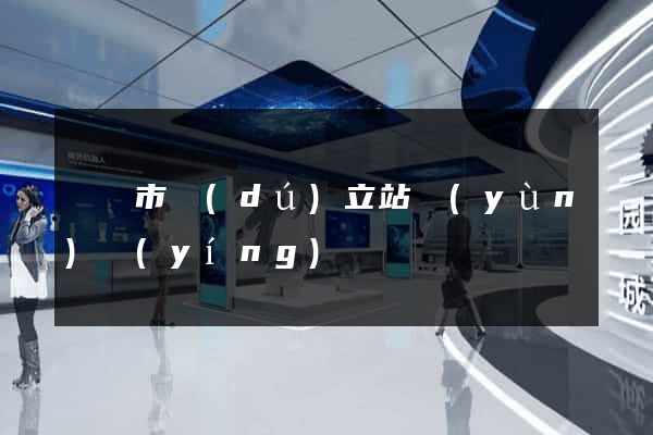 啟東市獨(dú)立站運(yùn)營(yíng)
