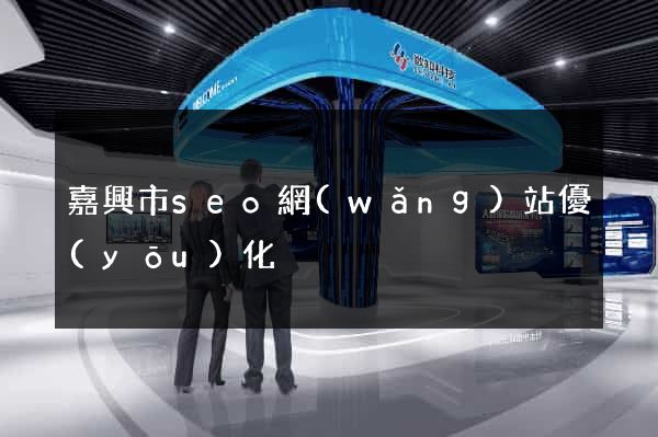 嘉興市seo網(wǎng)站優(yōu)化
