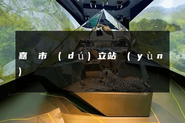 嘉興市獨(dú)立站運(yùn)營