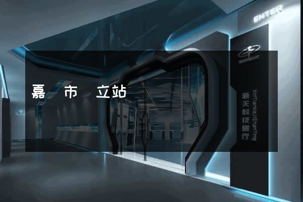 嘉興市獨立站運營