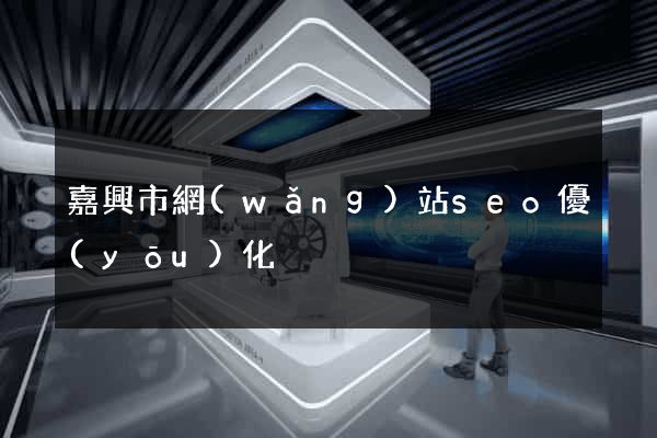嘉興市網(wǎng)站seo優(yōu)化