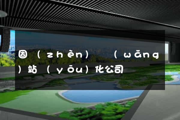 固鎮(zhèn)縣網(wǎng)站優(yōu)化公司