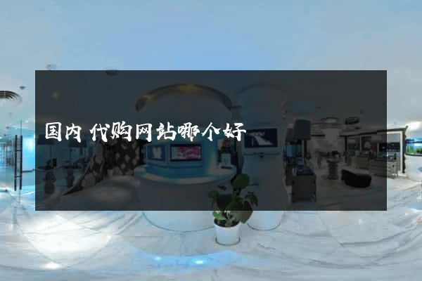 国内代购网站哪个好