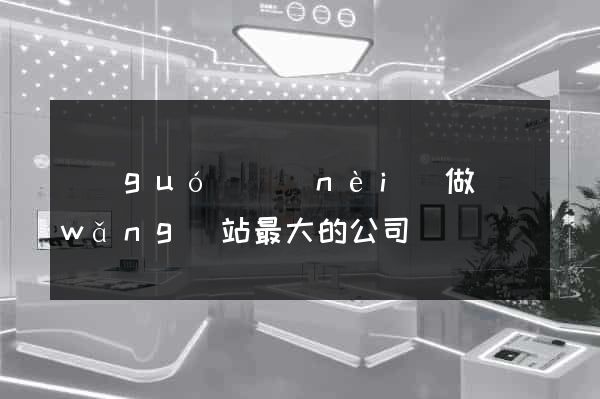 國(guó)內(nèi)做網(wǎng)站最大的公司