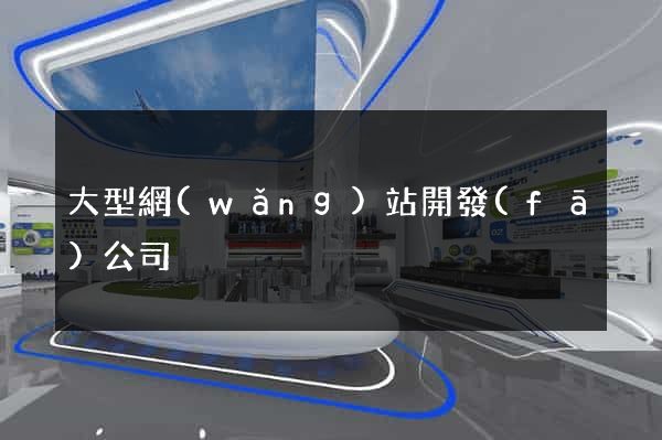 大型網(wǎng)站開發(fā)公司