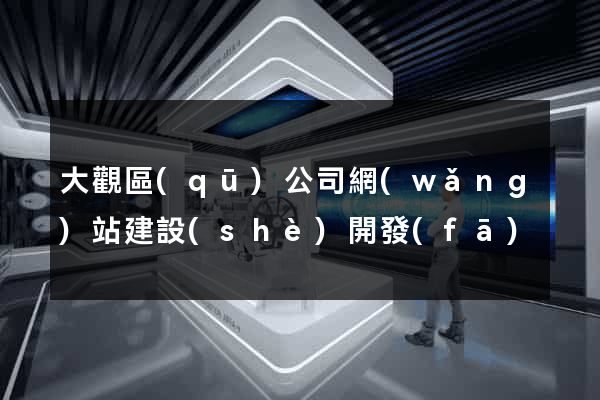 大觀區(qū)公司網(wǎng)站建設(shè)開發(fā)
