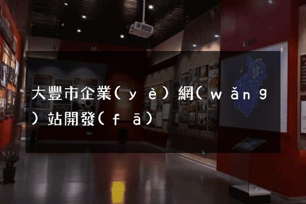大豐市企業(yè)網(wǎng)站開發(fā)