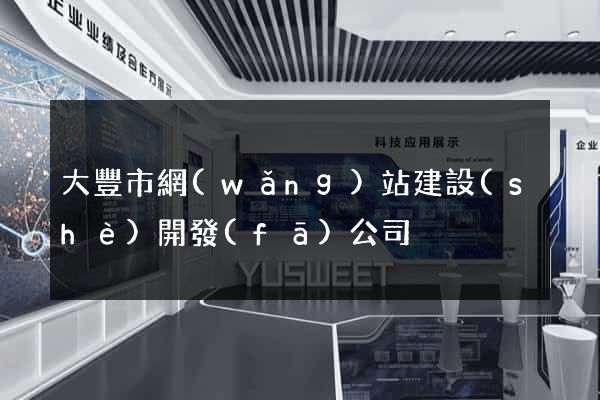 大豐市網(wǎng)站建設(shè)開發(fā)公司