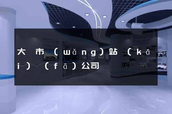 大豐市網(wǎng)站開(kāi)發(fā)公司