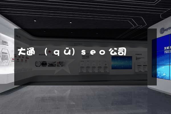 大通區(qū)seo公司