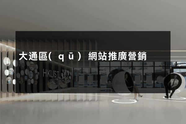 大通區(qū)網站推廣營銷