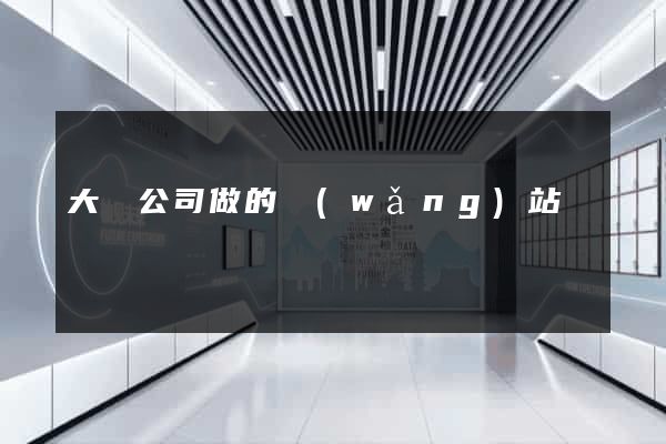 大連公司做的網(wǎng)站