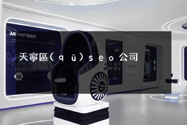 天寧區(qū)seo公司