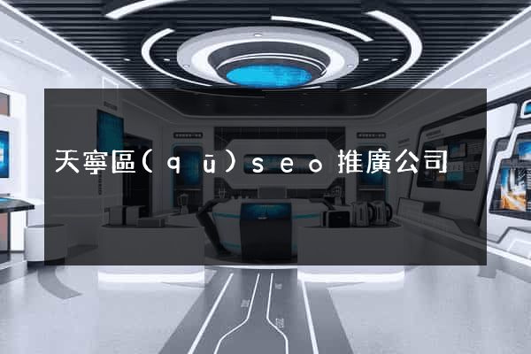 天寧區(qū)seo推廣公司
