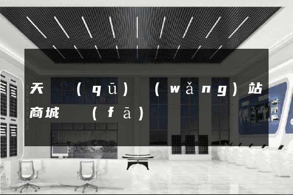 天寧區(qū)網(wǎng)站商城開發(fā)