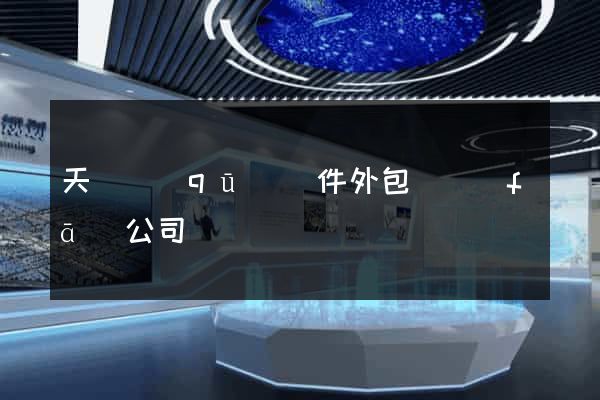 天寧區(qū)軟件外包開發(fā)公司
