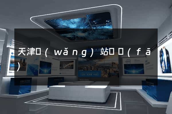 天津網(wǎng)站開發(fā)