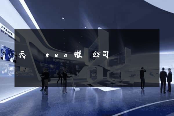 天臺縣seo推廣公司