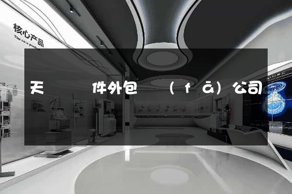 天臺縣軟件外包開發(fā)公司