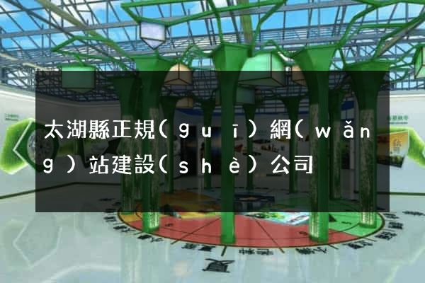 太湖縣正規(guī)網(wǎng)站建設(shè)公司