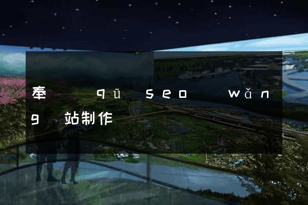 奉賢區(qū)seo網(wǎng)站制作