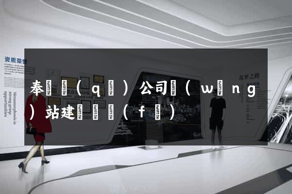 奉賢區(qū)公司網(wǎng)站建設開發(fā)