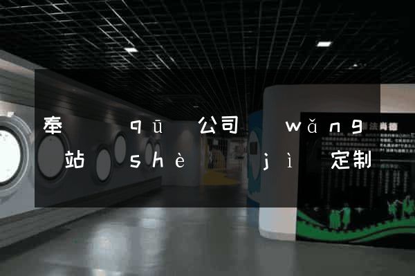 奉賢區(qū)公司網(wǎng)站設(shè)計(jì)定制