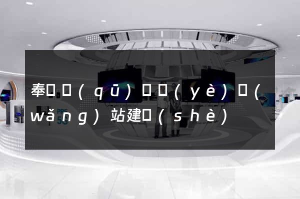 奉賢區(qū)專業(yè)網(wǎng)站建設(shè)