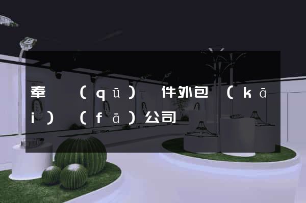 奉賢區(qū)軟件外包開(kāi)發(fā)公司