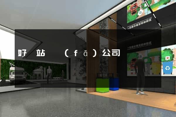 好網站開發(fā)公司